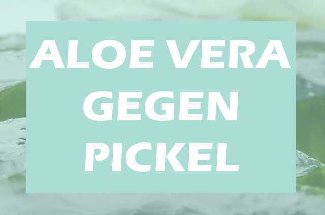 Aloe Vera gegen Pickel. Einfaches Hausmittel für Allergiker mit Hautproblemen.